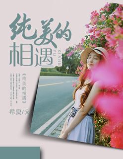 纯美的相遇电影免费观看