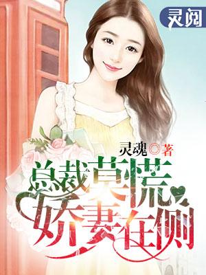 总栽娇妻惹不停