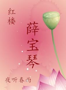 红楼梦里薛宝琴