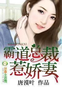 霸道总裁惹娇妻 唐漠叶