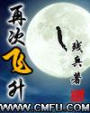 再次飞升短剧