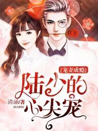宠妻成瘾陆少的心尖宠1
