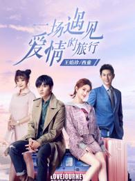 一场遇见爱情的旅行 电视剧演员表