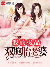 我的极品双胞胎老婆 小霸王