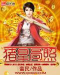 猪星高照是什么意思