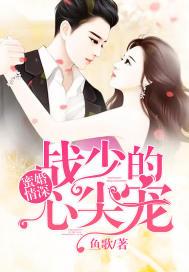 蜜婚情深战少的心尖宠全文免费入