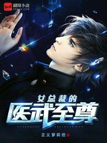 女总裁的医武保镖