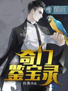 奇门宝鉴视频