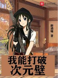 我能打破次元壁垒txt