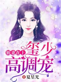 沈湘傅少钦一