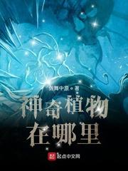 神奇植物在哪里?西双版纳热带雨林探秘