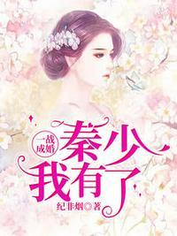 一战成婚秦少我有了日照