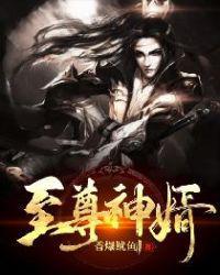至尊神婿叶昊正版