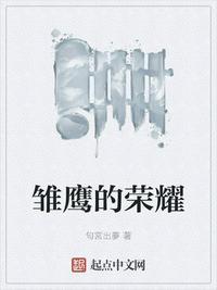 雏鹰的荣耀TXT免费