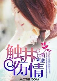 触井伤情酒澈故事详解