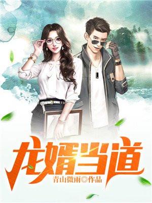 龙婿当道叶辰萧初然叶辰萧初然