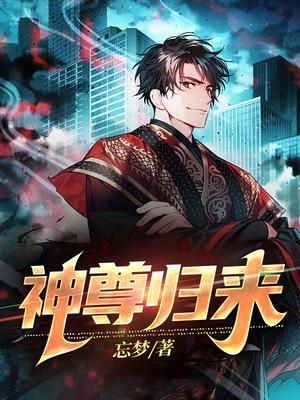 神尊归来叶临君