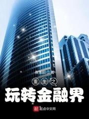 重生之玩转金融界作者夜落田