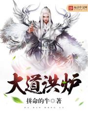 那本书主人公叫叶无忌