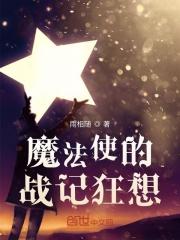 魔法战记演员表