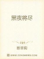 黑夜将尽(创新DJ版) 站站