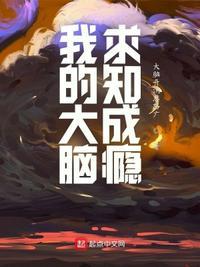 我的大脑是什么