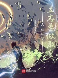 人在斗罗已娶教皇 同人写者