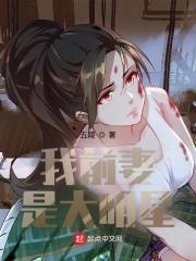 我前妻是大明星作者懒笔趣阁