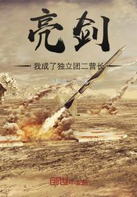 亮剑我成了独立团二营长沈泉