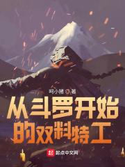 从斗罗开始的双剑之旅