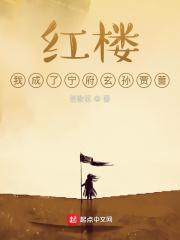 穿越红楼成为宁国府主人