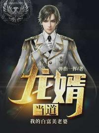 龙婿当道在线阅读