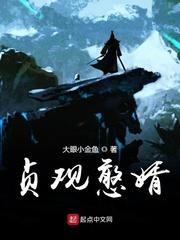 贞观憨婿全本TXT
