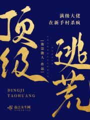 满级大佬去新手村的漫画