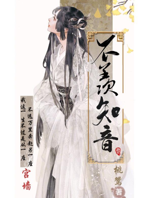 不羡知明月歌曲