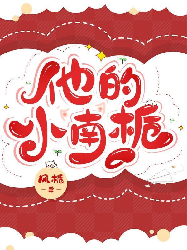 他的小南栀全文免费观看