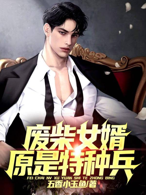 废物女婿身份突变