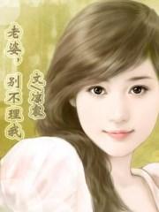 老婆不理我是什么意思