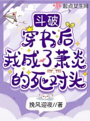 斗破穿书后我成了萧炎的死对头挽风