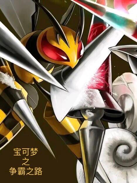宝可梦战争