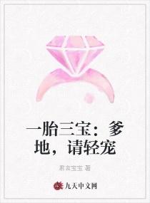 一胎三宝爹地超级宠