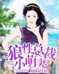 总裁的傲妻