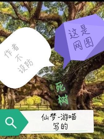 死树风水