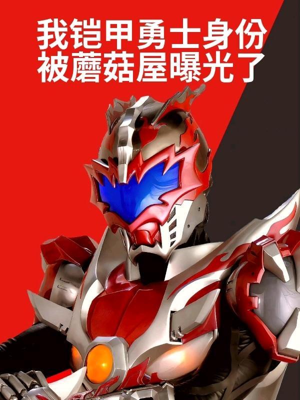 请问我铠甲勇士