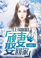 上司dl
