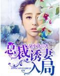 总裁诱妻入局 柒小洛