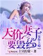 天价宠妻是谁