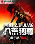 八荒武神顶点