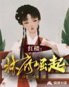 红楼林家夫人免费阅读