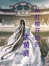 从红楼开始的大黄庭笔趣阁最新章节
